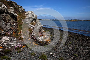 Cae Glas Nature reserve photo