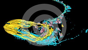 Caenorhabditis elegans