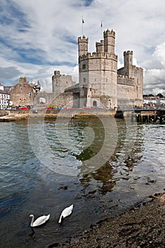 Caernarfon castle