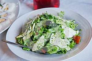 Caesar salad of herbs, cheese and olives on a white plate