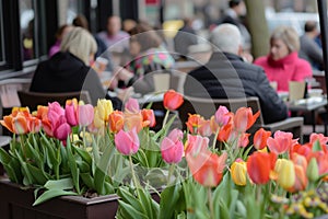 caf patrons dining al fresco amidst planters of bright tulips photo