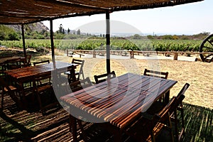 Cafayate, Argentina, november 3, 2022: vineyards with mountain backdrop, Argentina