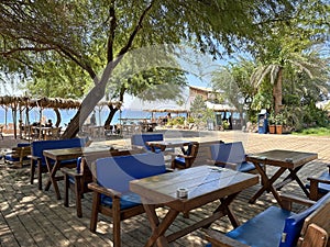 Cafe tables under the trees on Dekel Beach