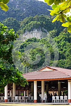 Cafe at tropic jungle