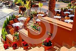 Cafe under palm trees