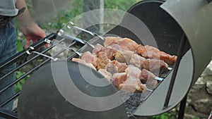 Cafes and restaurants, cooking, picnic, oriental kitchen concept - close-up pork and chicken kebab strung on skewer