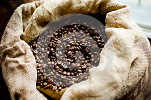 Caffee beans photo