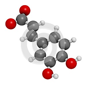 Caffeic acid molecule. Intermediate in the biosynthesis of lignin. 3D rendering. Atoms are represented as spheres with