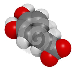 Caffeic acid molecule. Intermediate in the biosynthesis of lignin. 3D rendering. Atoms are represented as spheres with photo