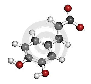Caffeic acid molecule. Intermediate in the biosynthesis of lignin. 3D rendering. Atoms are represented as spheres with photo