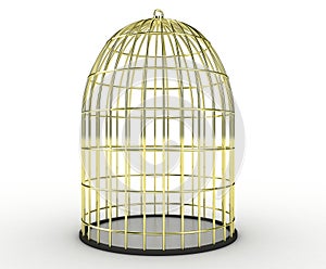 Cage