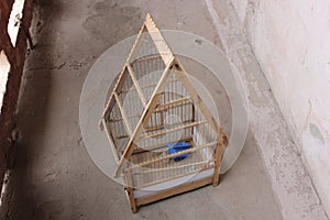 Cage for birds