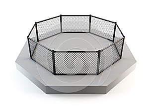 Cage fighting octagon