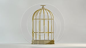 Cage gold front