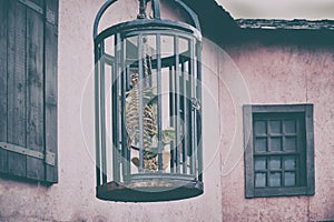 A cage with a scary skeleton hanged outdoors. Window old house and cage with bones dead man