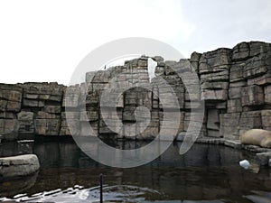 Cage for sealion and walrus with pool and man-made rock formations