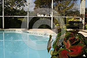 Caged Pool with Flowers