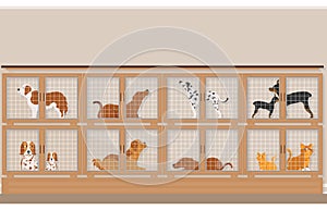 Cages of dogs and cats for sale in pet store.