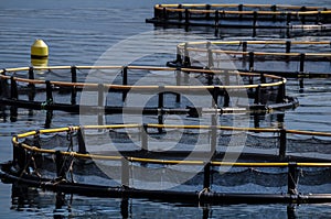Cages for fish farming