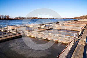 Cages for fish farming in the natural river