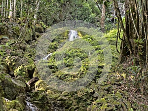 Cahabon River, forms numerous cascades, Semuc champey, Guatemala