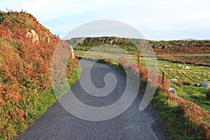 Cahergal and Leacanabuaile - Old Irish Stone Forts or Ring Forts - Ireland historical tour