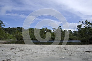 Cahuita National Park beach, Costa Rica, Caribbean Sea