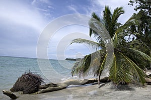Cahuita National Park beach, Costa Rica, Caribbean Sea photo