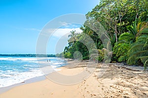 Cahuita - Nationalpark with beautiful beaches and rainforest in Costa Rica photo