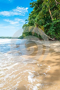 Cahuita - Nationalpark with beautiful beaches and rainforest in Costa Rica photo