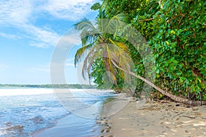 Cahuita - Nationalpark with beautiful beaches and rainforest in Costa Rica photo