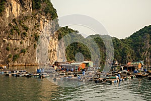 Cai Beo floating village on sunset in Ha Long Bay