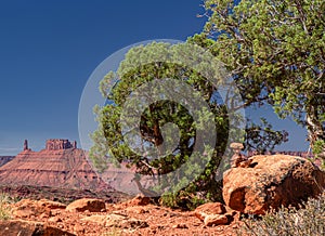 Cairn and Big Rock Formation from Fisher Towers, Utah