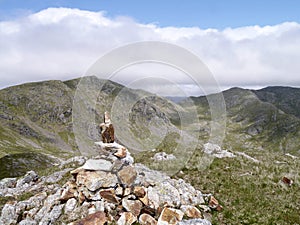 Cairn on Raven Tor, Coniston