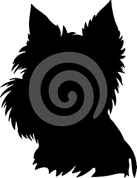 Cairn Terrier Black Silhouette Generative Ai