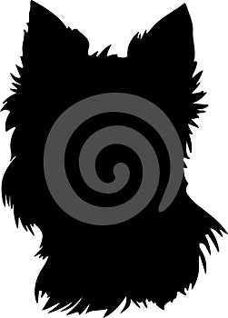 Cairn Terrier Black Silhouette Generative Ai