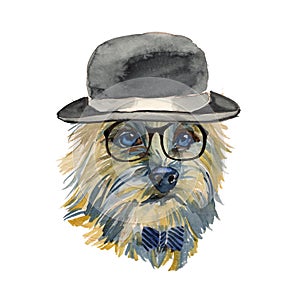 Cairn Terrier - watercolor realistic isolated hipster dog portrait