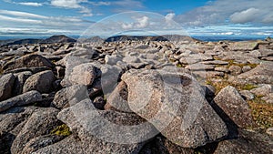 The Cairngorm plateau from the summit of Ben MacDui photo