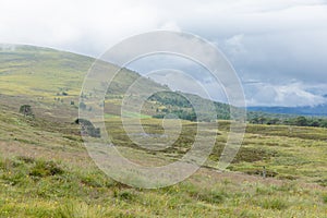 The Cairngorm Reindeer Herd area in the Cairngorm mountains in Scotland