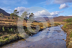 Cairngorms National Park, Scotland, UK