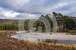 Cairngorms National Park, Scotland, UK