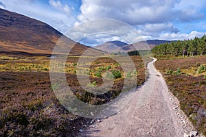 Cairngorms National Park, Scotland, UK