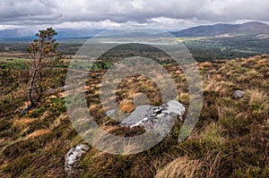 Cairngorms National Park, wasteland