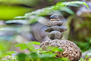 Cairns in the forest