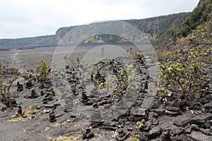 Cairns and plants on the floor of the Iki Crater on Kilauea at the beginning of the trail crossing the crater