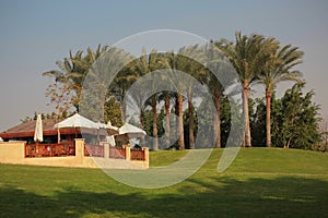 In Cairo city park