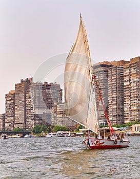 Felucca boat on the Nile river in Cairo, Egypt