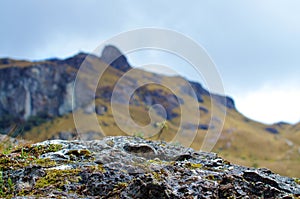 Cajas National Park photo