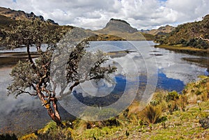 Cajas National Park photo