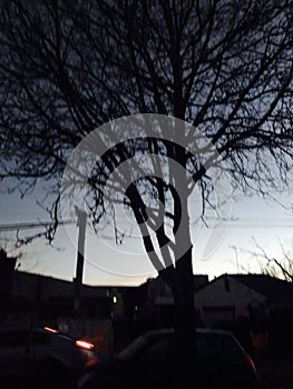 Cajole peace in the dark photo
